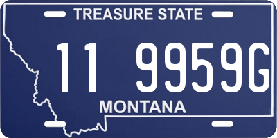 MT license plate 119959G