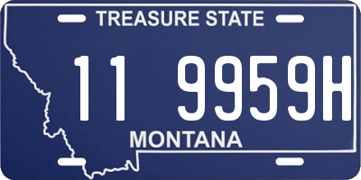 MT license plate 119959H