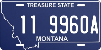 MT license plate 119960A
