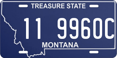 MT license plate 119960C