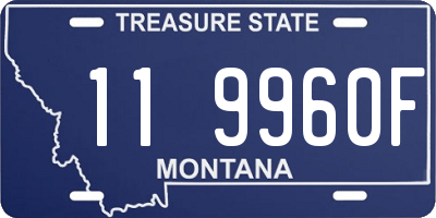 MT license plate 119960F