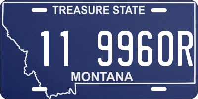 MT license plate 119960R