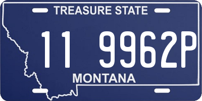 MT license plate 119962P