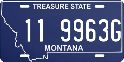MT license plate 119963G