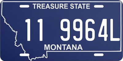 MT license plate 119964L