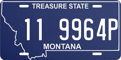 MT license plate 119964P