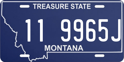 MT license plate 119965J