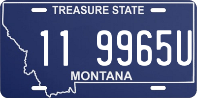 MT license plate 119965U