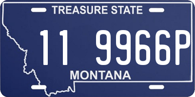 MT license plate 119966P