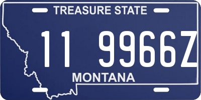 MT license plate 119966Z