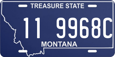 MT license plate 119968C