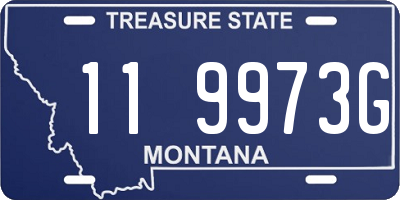 MT license plate 119973G