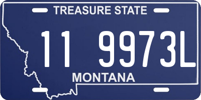 MT license plate 119973L