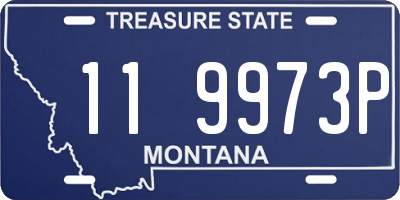 MT license plate 119973P