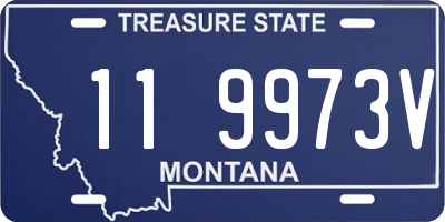 MT license plate 119973V