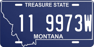 MT license plate 119973W