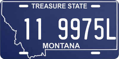 MT license plate 119975L