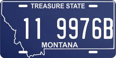 MT license plate 119976B