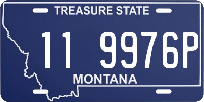 MT license plate 119976P