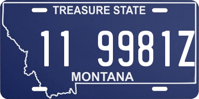 MT license plate 119981Z