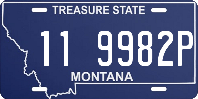 MT license plate 119982P