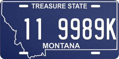 MT license plate 119989K