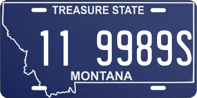 MT license plate 119989S