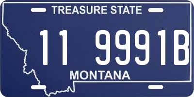 MT license plate 119991B