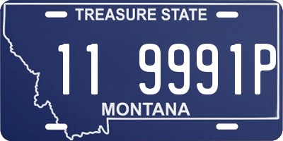 MT license plate 119991P