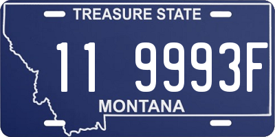 MT license plate 119993F