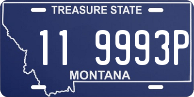 MT license plate 119993P