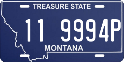 MT license plate 119994P