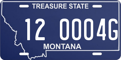 MT license plate 120004G