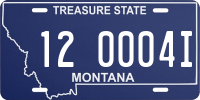 MT license plate 120004I