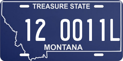 MT license plate 120011L