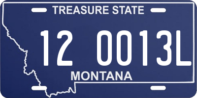 MT license plate 120013L