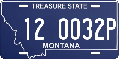 MT license plate 120032P