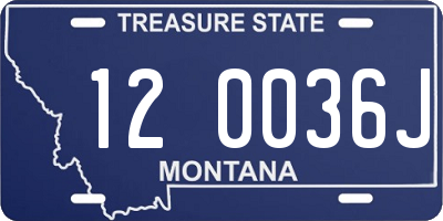 MT license plate 120036J