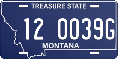 MT license plate 120039G