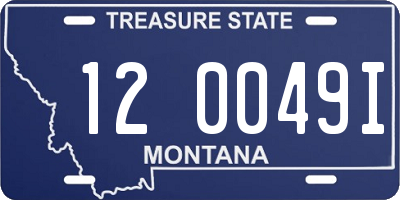 MT license plate 120049I