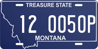 MT license plate 120050P