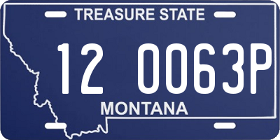 MT license plate 120063P