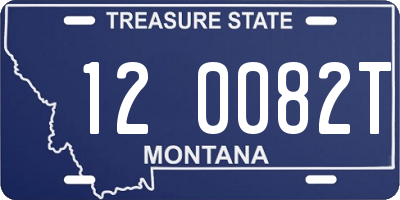 MT license plate 120082T