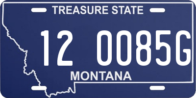 MT license plate 120085G