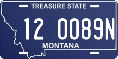 MT license plate 120089N