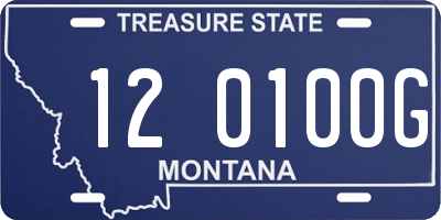 MT license plate 120100G