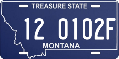 MT license plate 120102F
