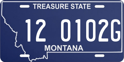 MT license plate 120102G
