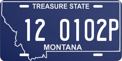 MT license plate 120102P