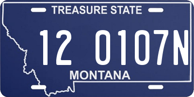 MT license plate 120107N